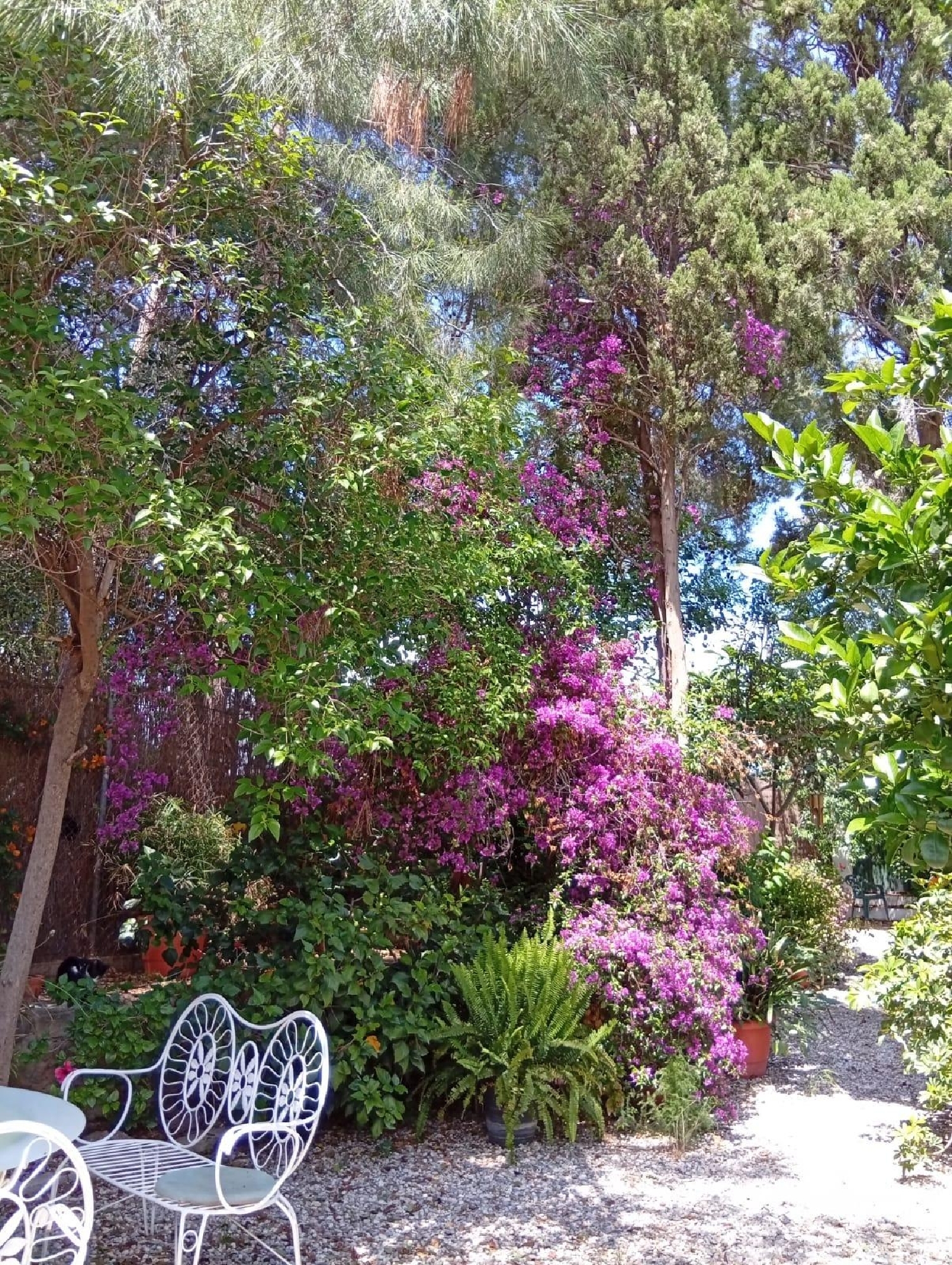 for sale country house Las Torres De Cotillas Vega Media Del Segura 2