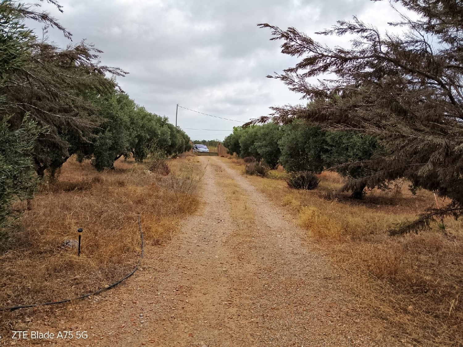 for sale country house Lo Cartagena Baix Segura 3