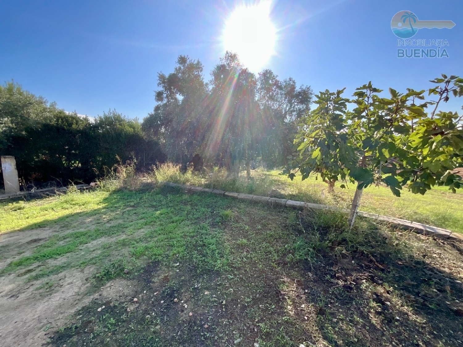  for sale country house Lo Cartagena Baix Segura 3
