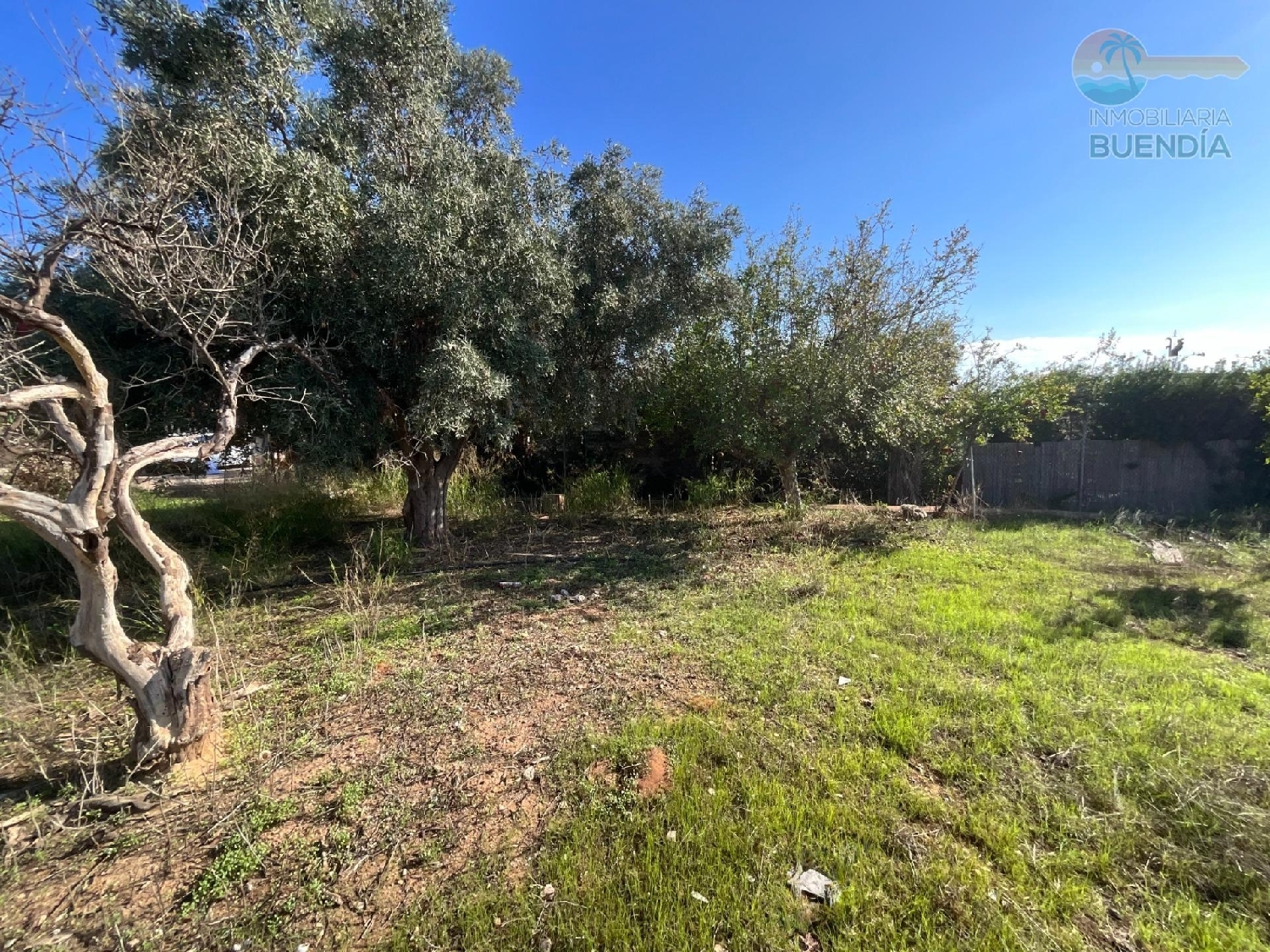  for sale country house Lo Cartagena Baix Segura 1