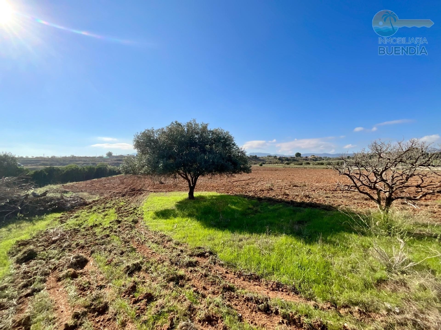  for sale country house Lo Cartagena Baix Segura 2