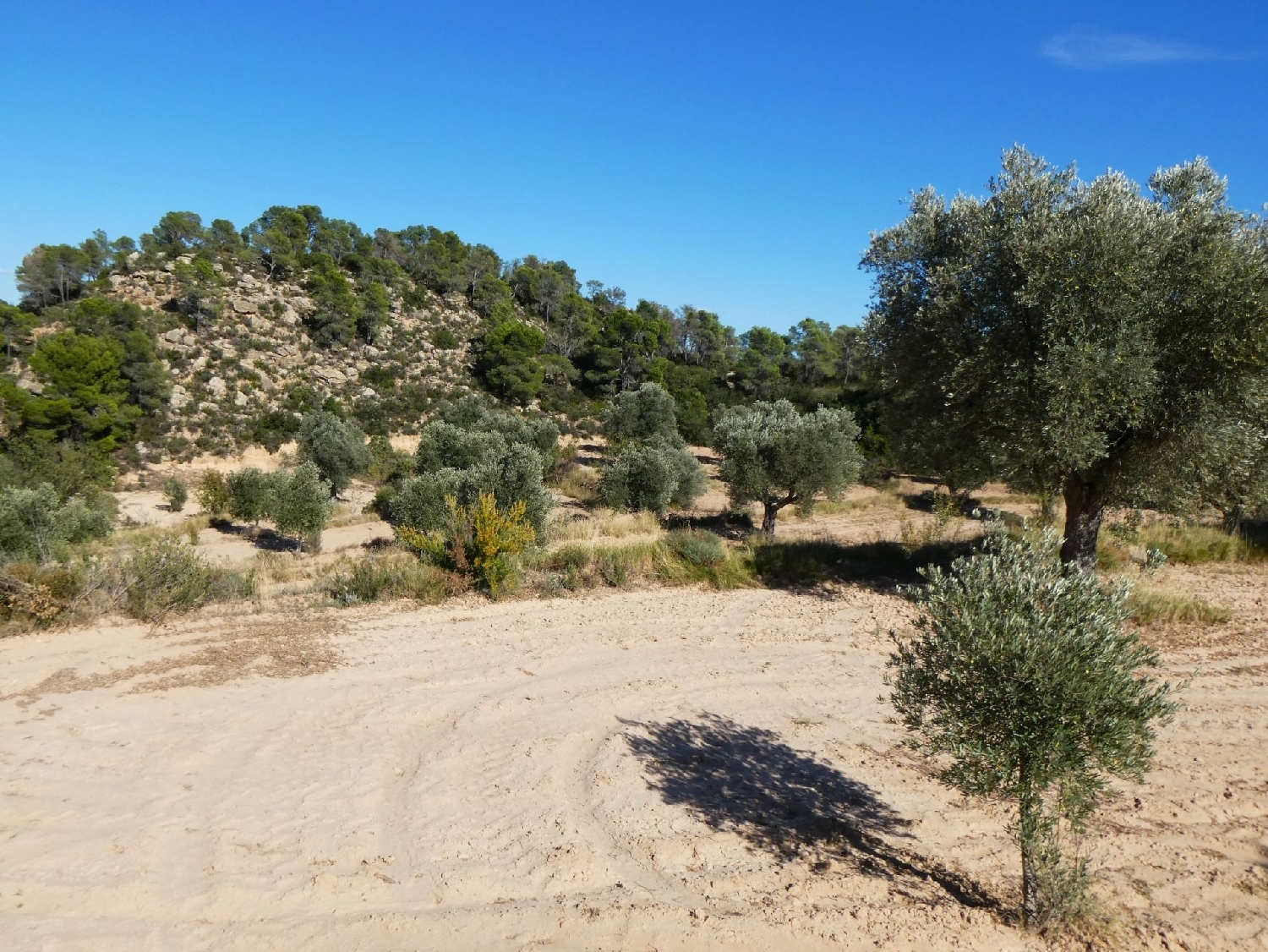  te koop boerderij Maella Bajo Aragón-Caspe 3