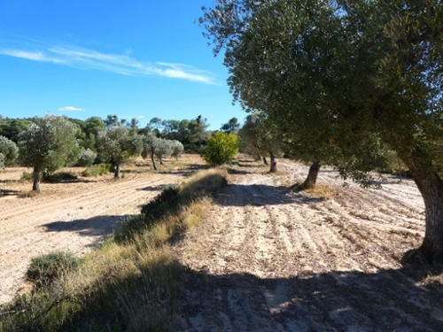 Maella Bajo Aragón-Caspe boerderij foto 6305495