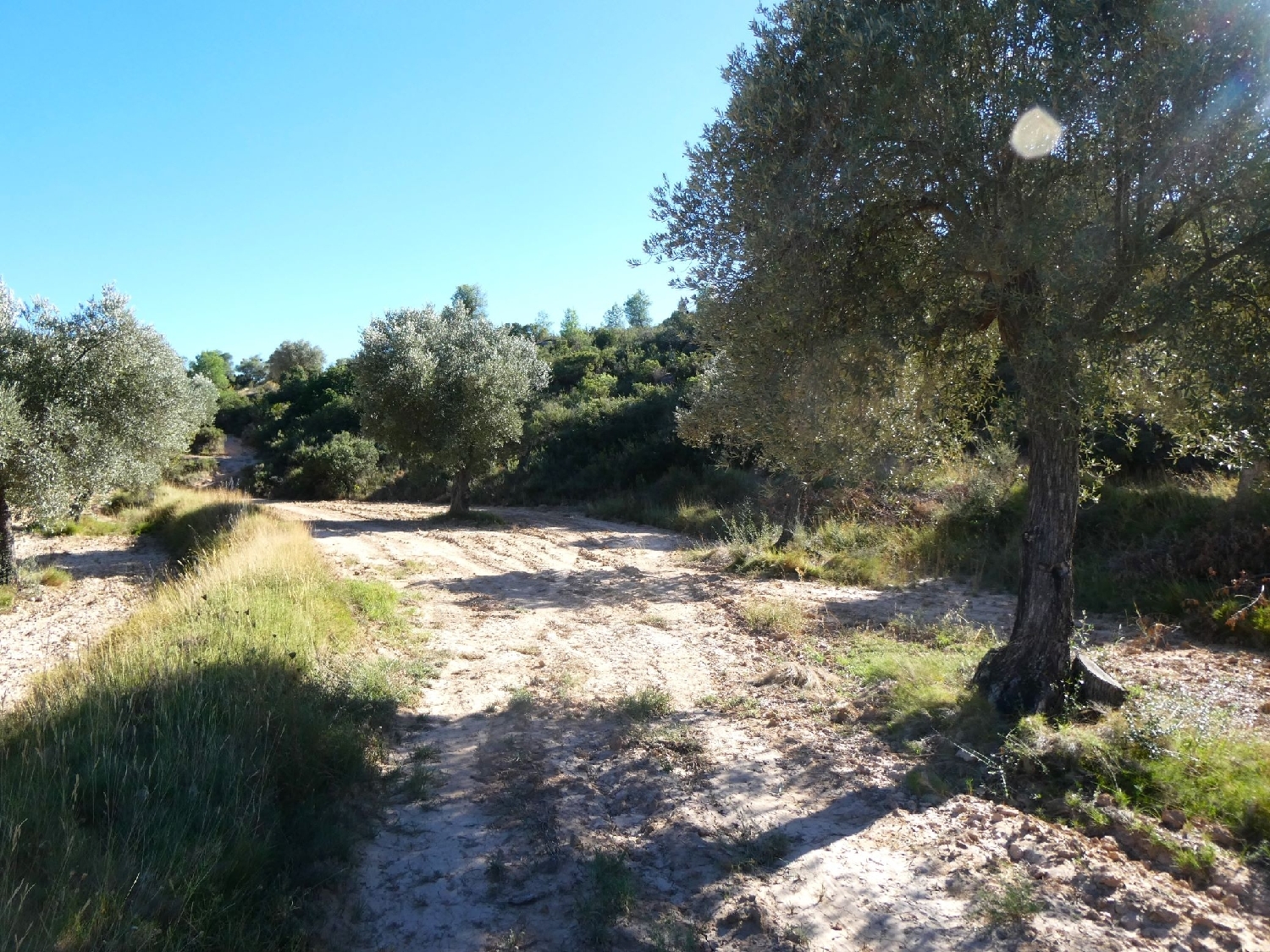  te koop boerderij Maella Bajo Aragón-Caspe 8