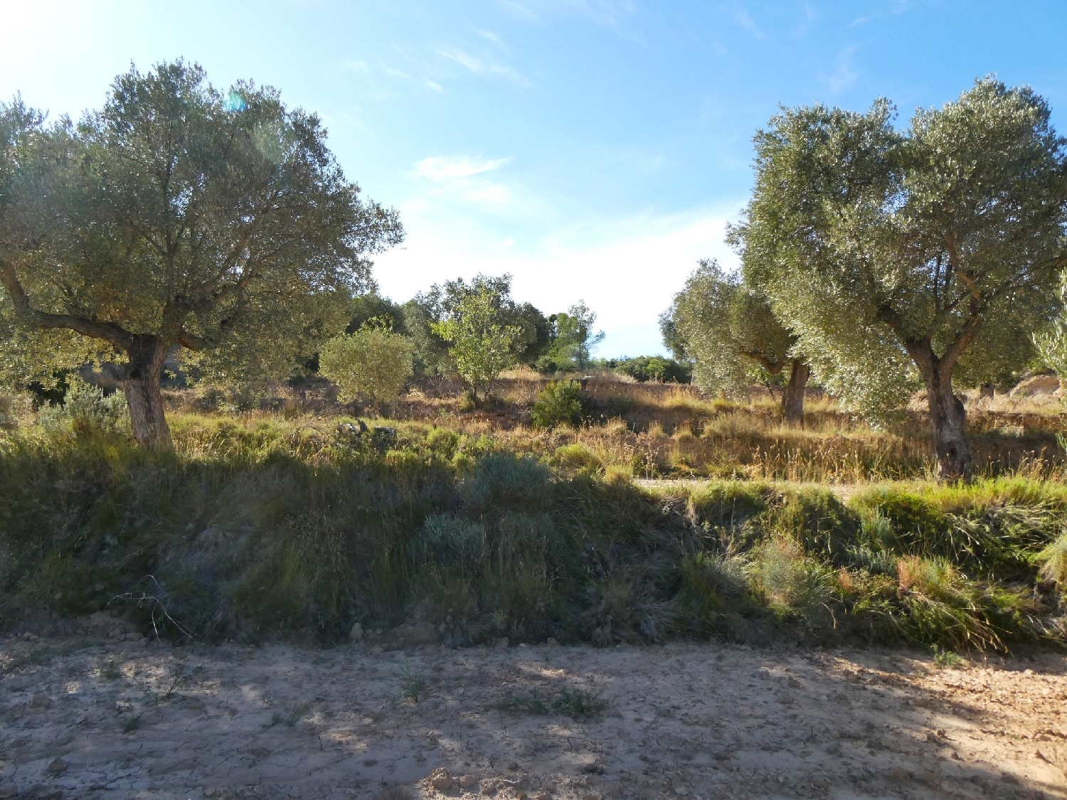  te koop boerderij Maella Bajo Aragón-Caspe 9