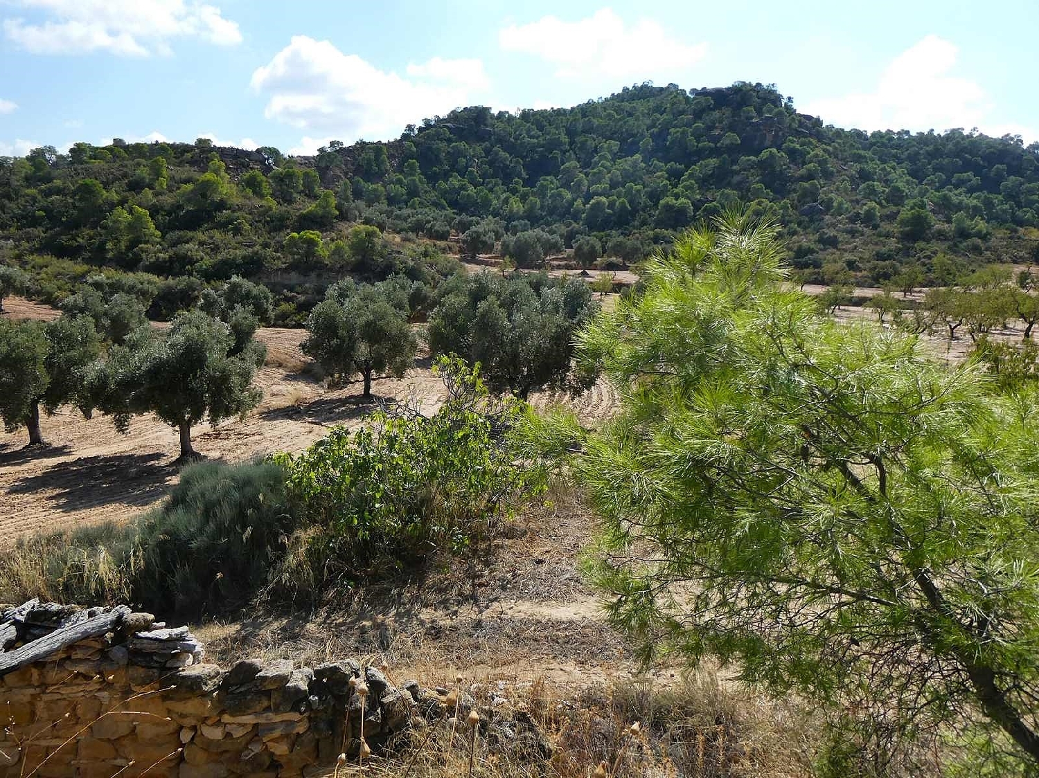  for sale country house Maella Bajo Aragón-Caspe 14