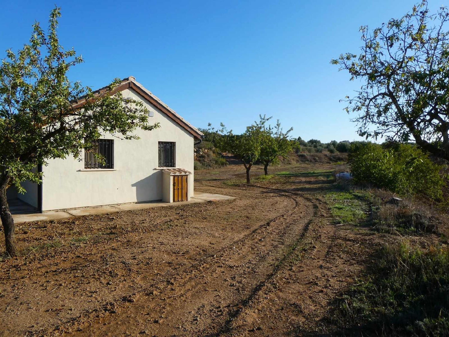 for sale country house Maella Bajo Aragón-Caspe 11