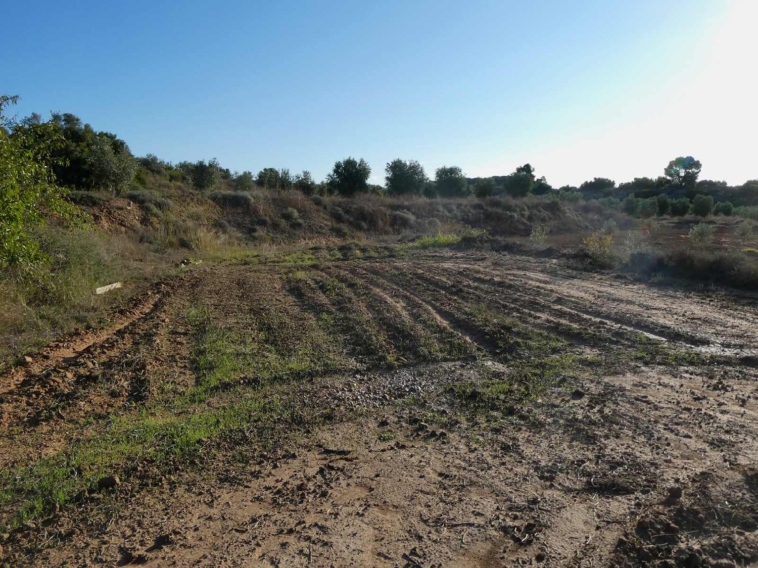  for sale country house Maella Bajo Aragón-Caspe 5