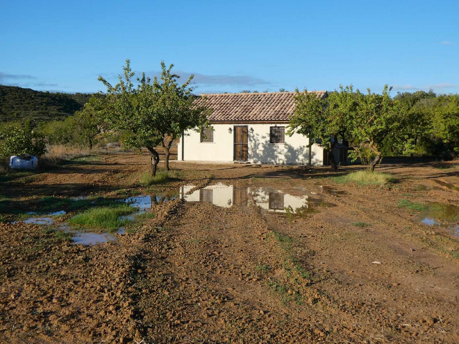  for sale country house Maella Bajo Aragón-Caspe 4