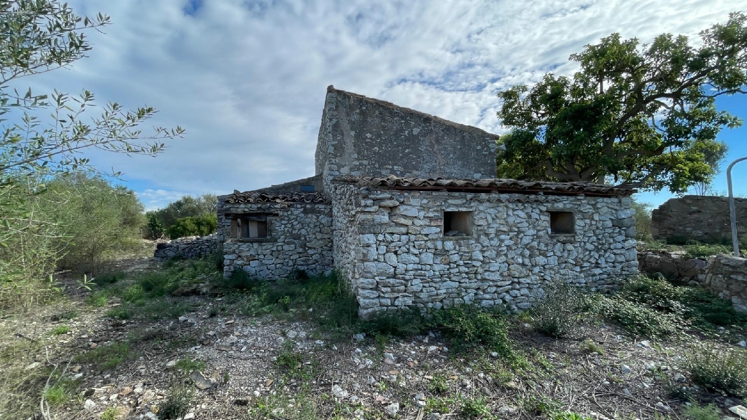 en venta finca rústica Manacor Llevant 6