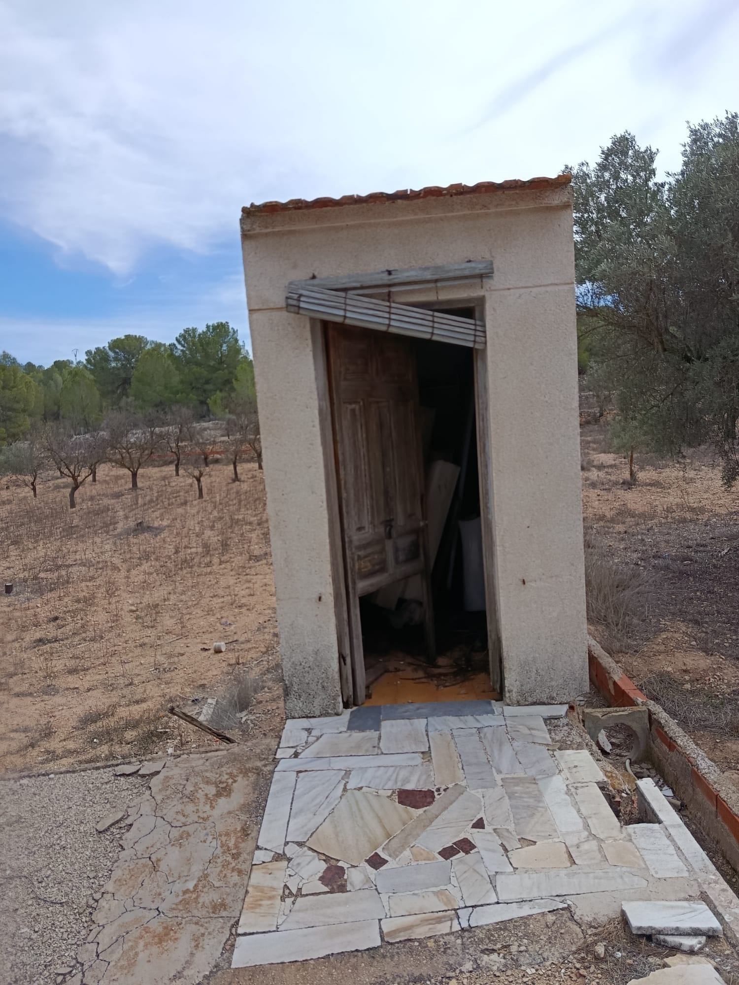  en venta finca rústica Monóvar Vinalopó Mitjà 19