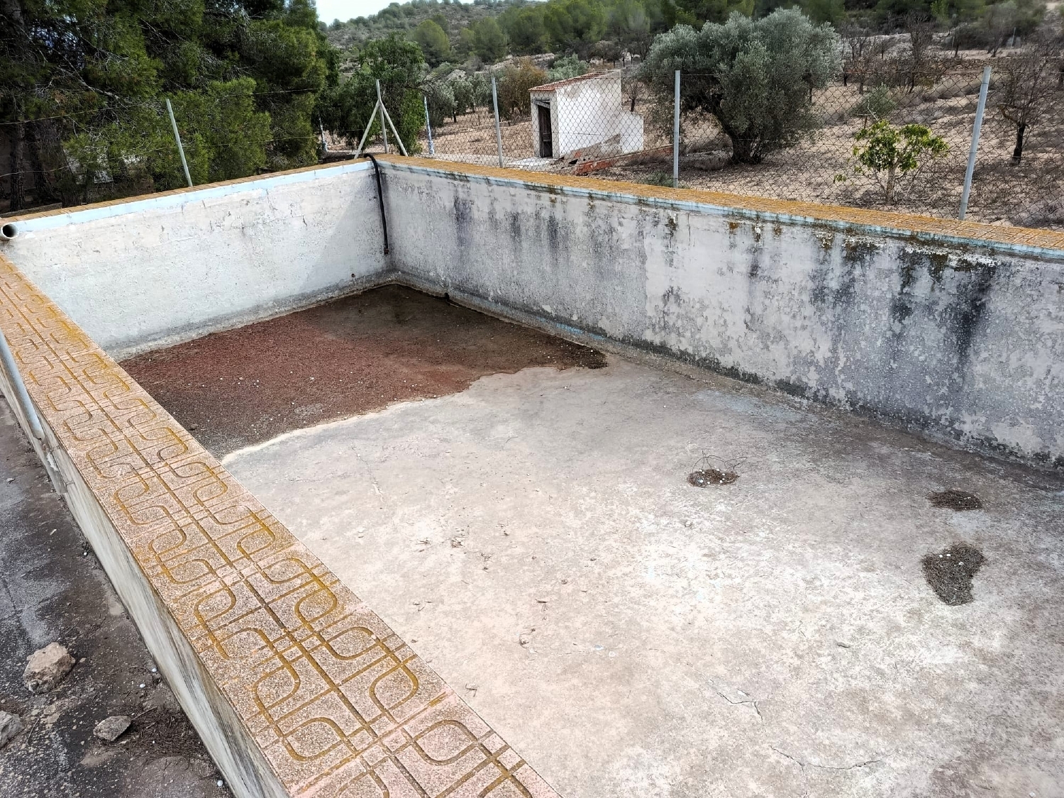  en venta finca rústica Monóvar Vinalopó Mitjà 17