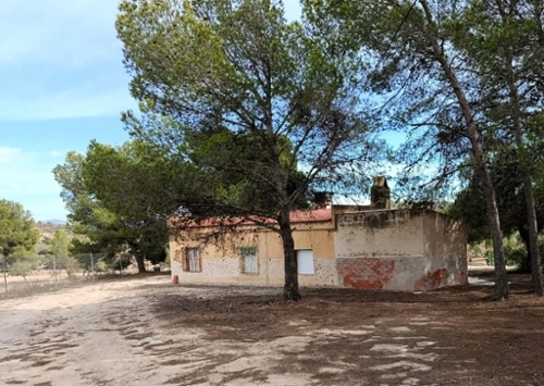 Monóvar Vinalopó Mitjà finca rústica foto