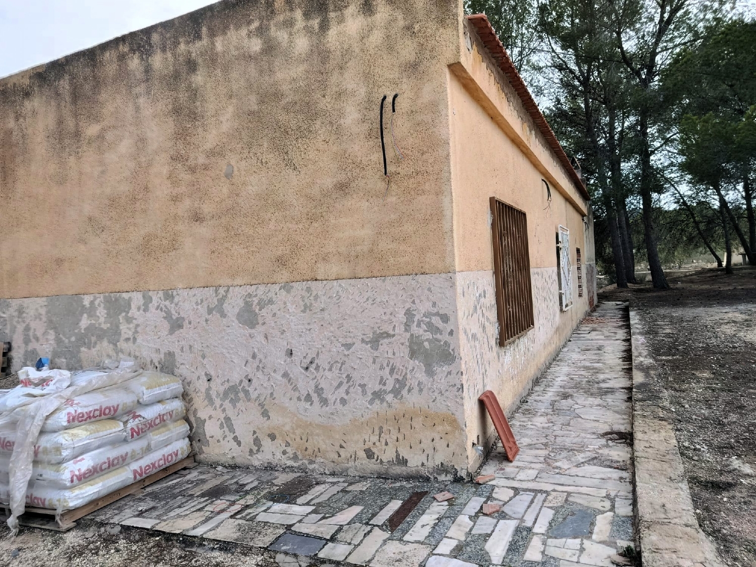  en venta finca rústica Monóvar Vinalopó Mitjà 2