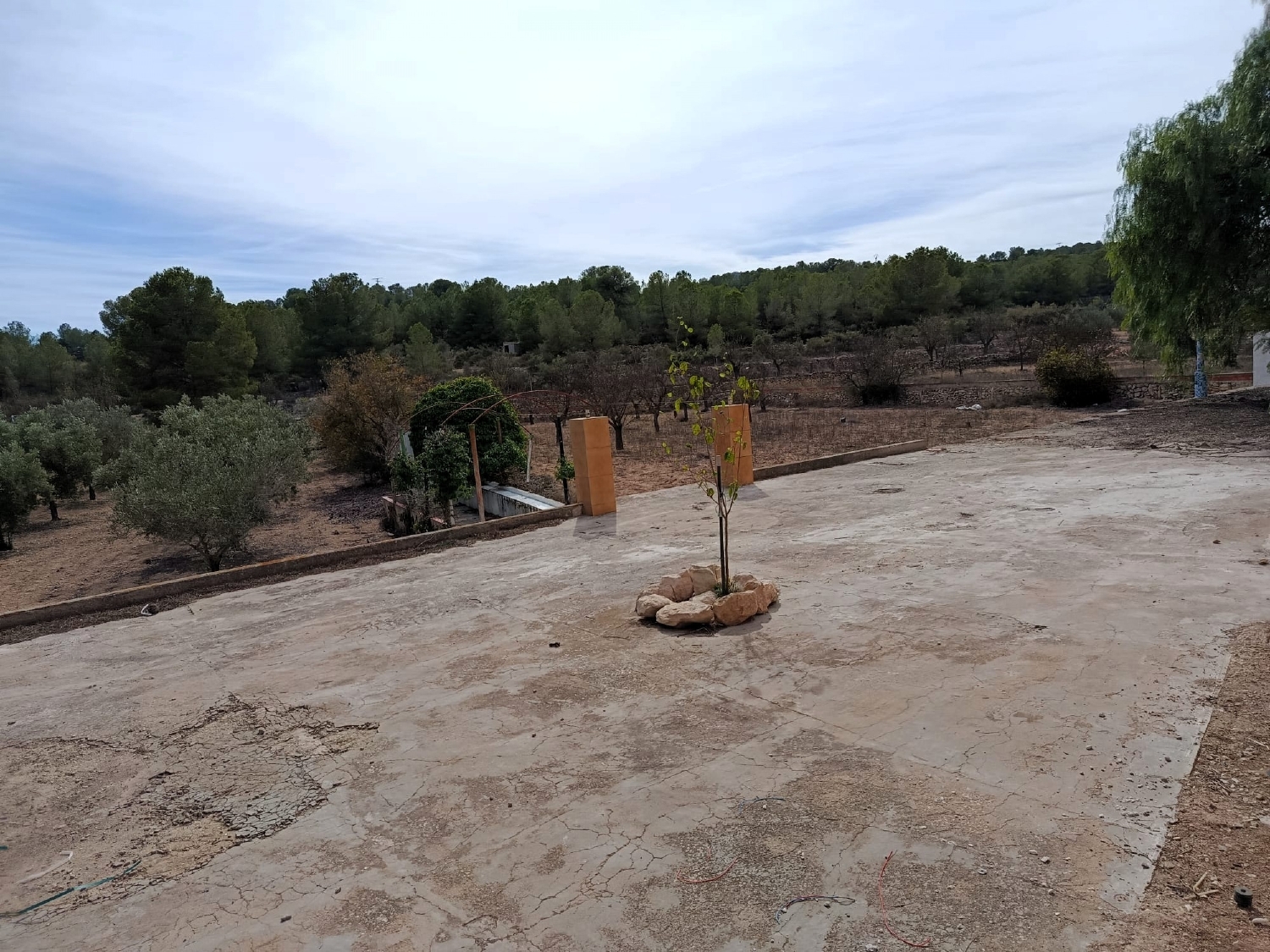  en venta finca rústica Monóvar Vinalopó Mitjà 3