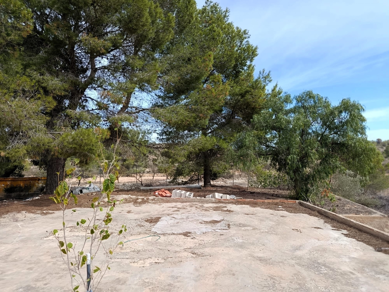  en venta finca rústica Monóvar Vinalopó Mitjà 7