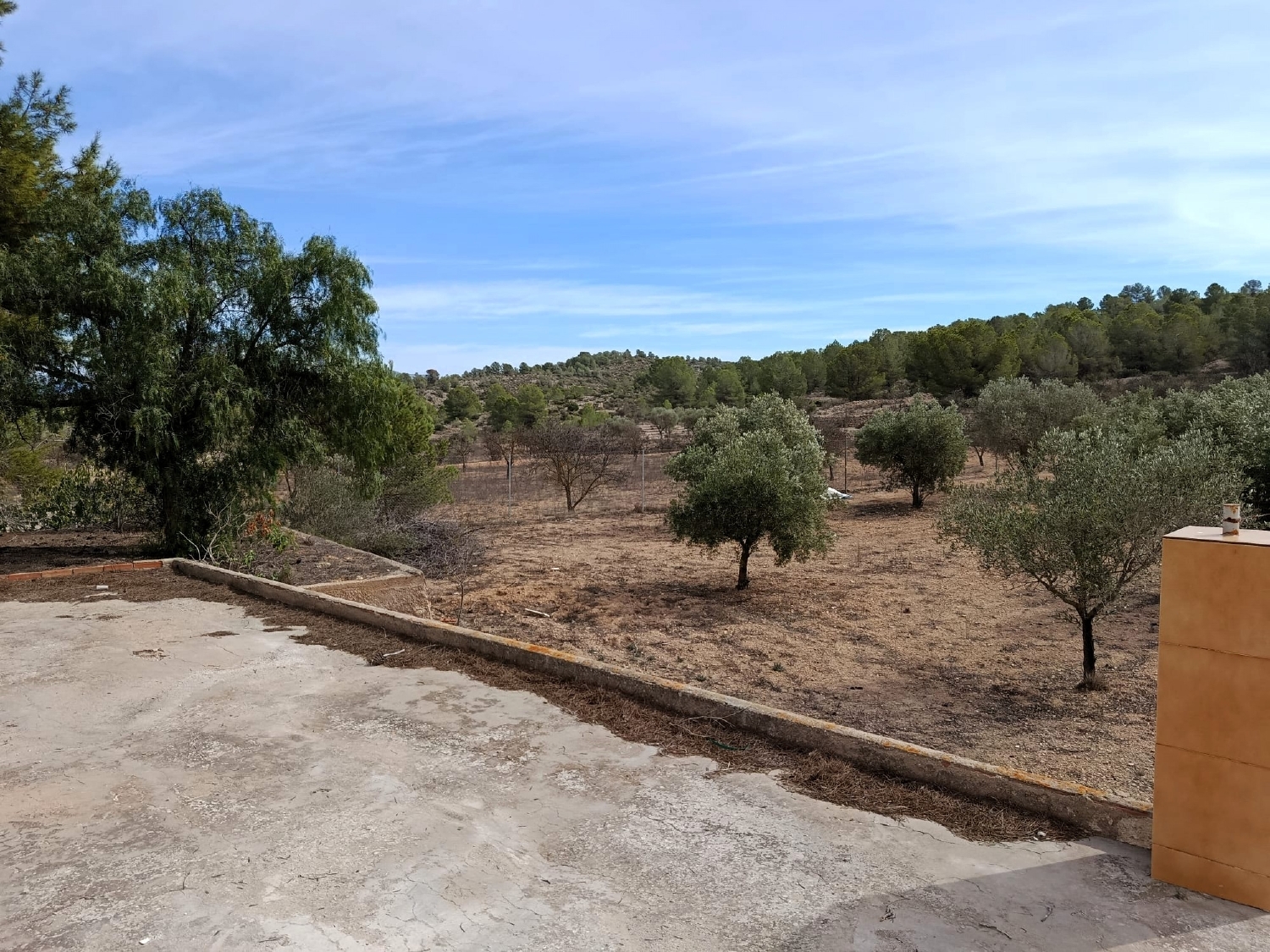  en venta finca rústica Monóvar Vinalopó Mitjà 6