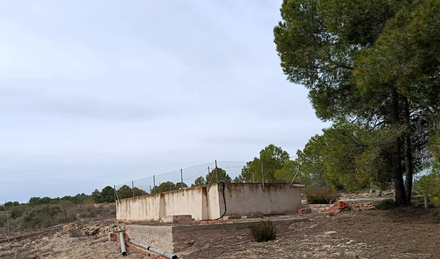  en venta finca rústica Monóvar Vinalopó Mitjà 18