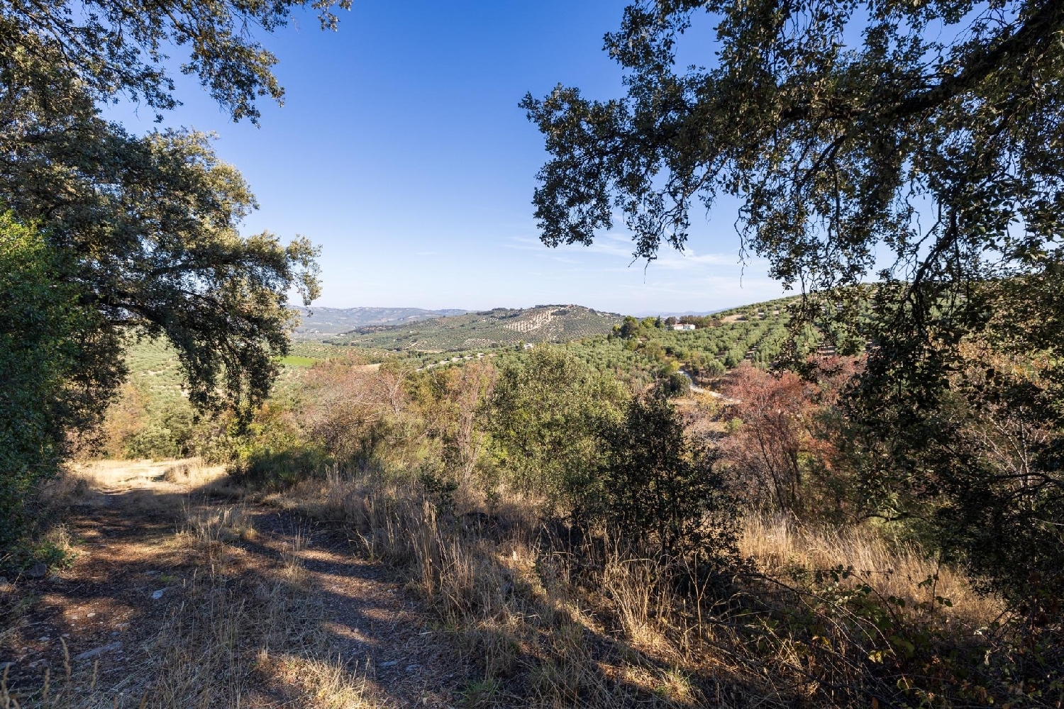 te koop boerderij Montefrio Loja 4