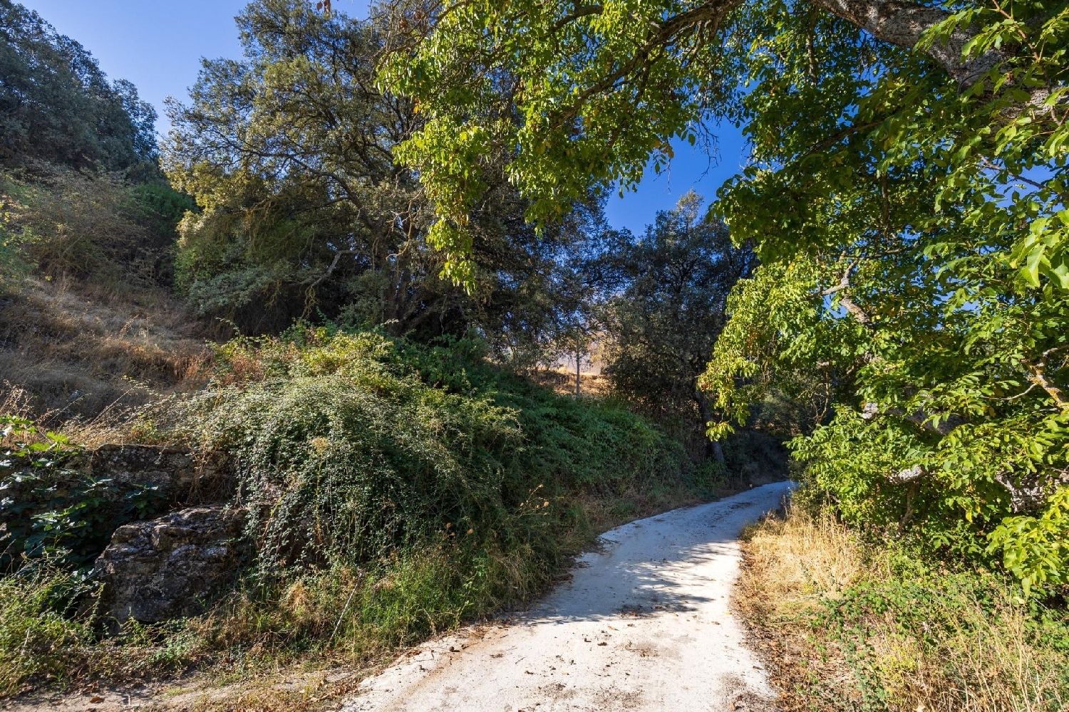 te koop boerderij Montefrio Loja 3