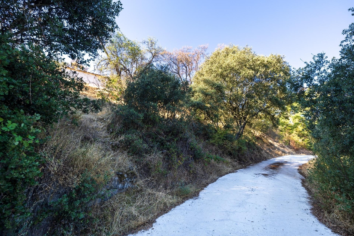 te koop boerderij Montefrio Loja 2