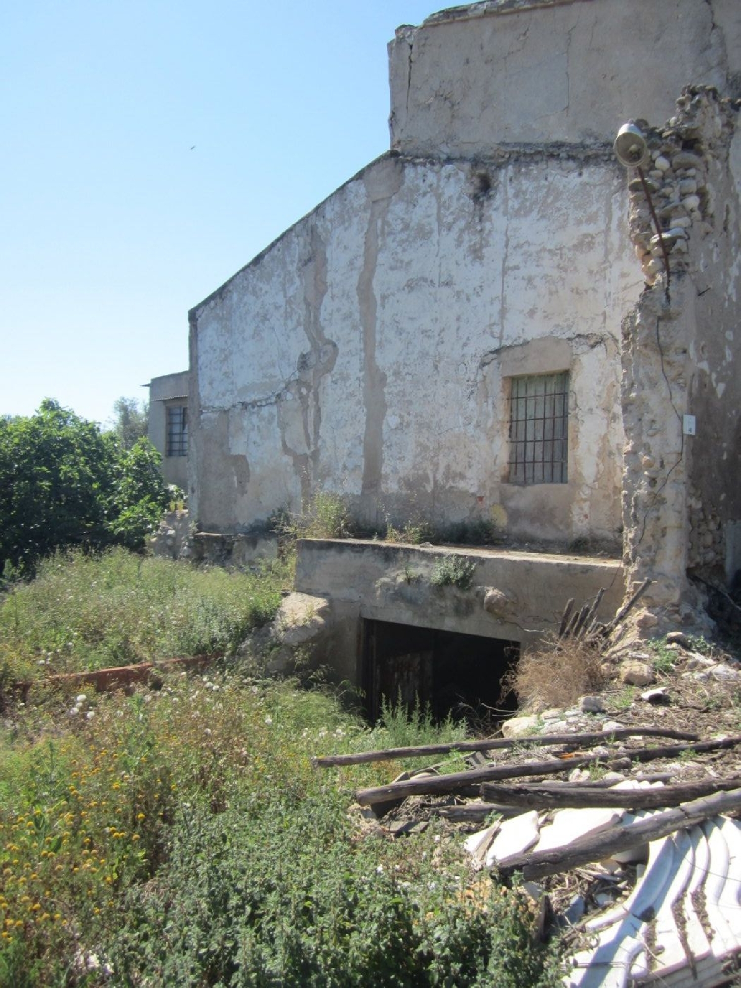  en venta finca rústica Novelda Vinalopó Mitjà 4