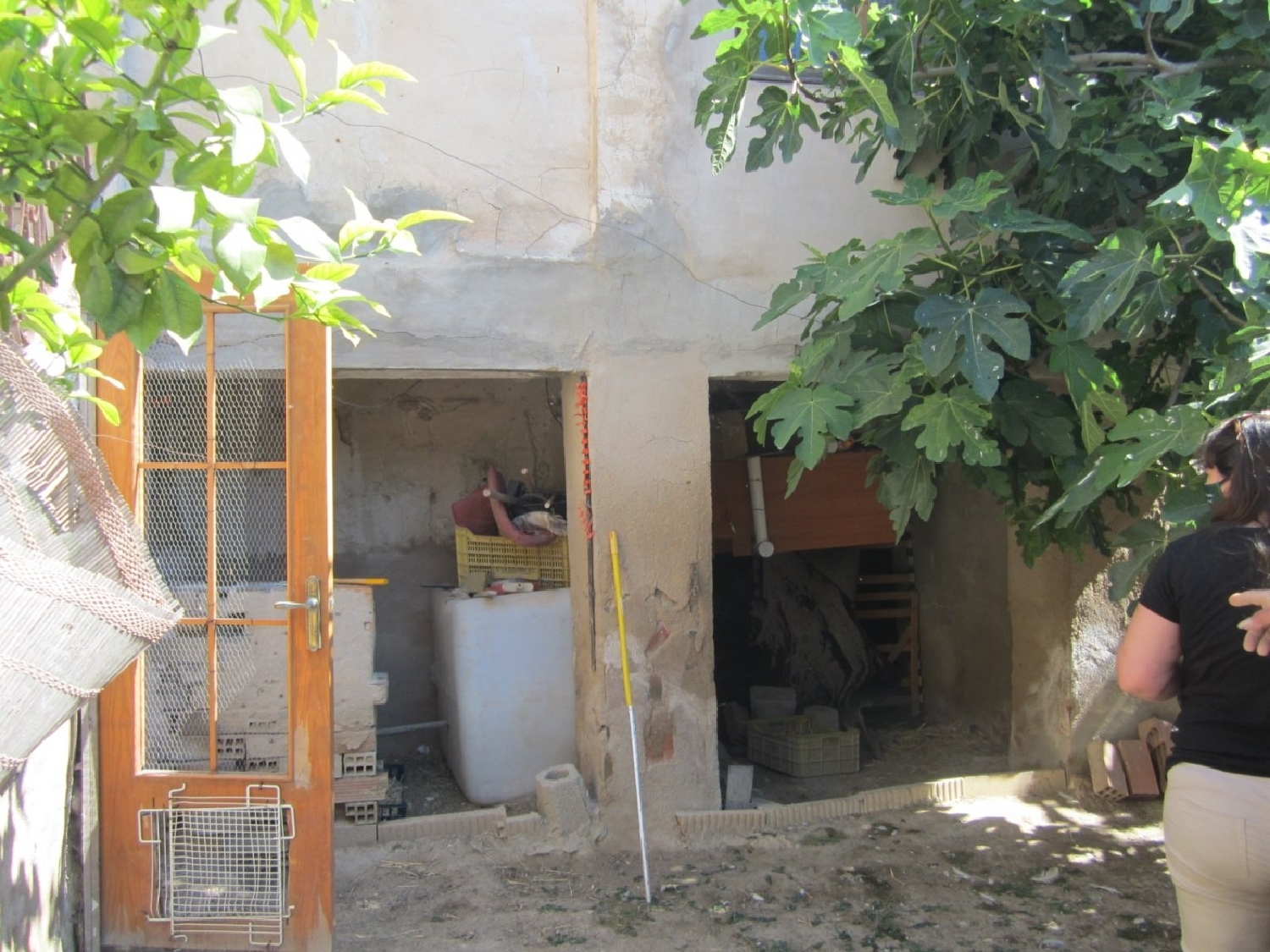 en venta finca rústica Novelda Vinalopó Mitjà 8
