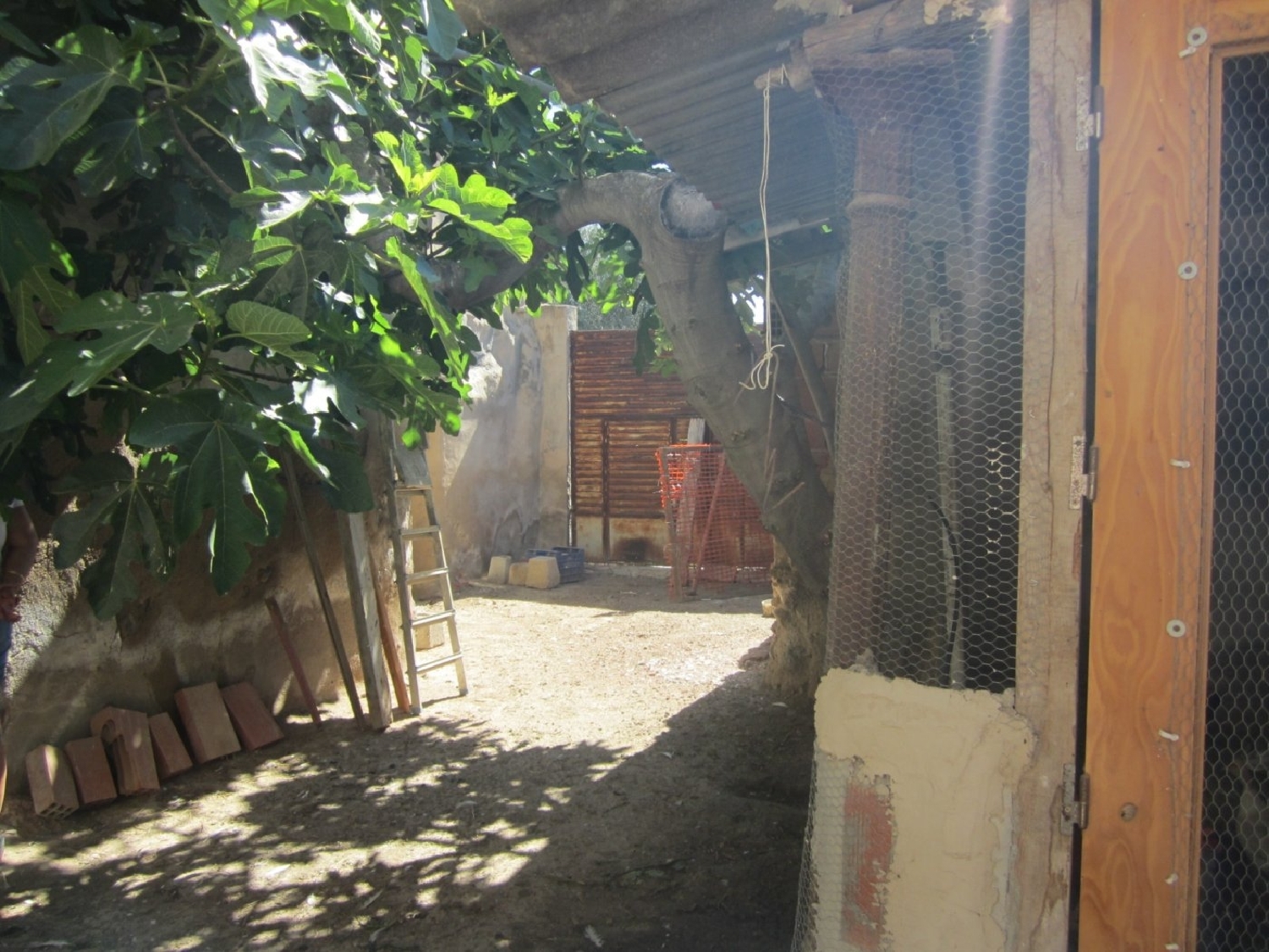  en venta finca rústica Novelda Vinalopó Mitjà 6