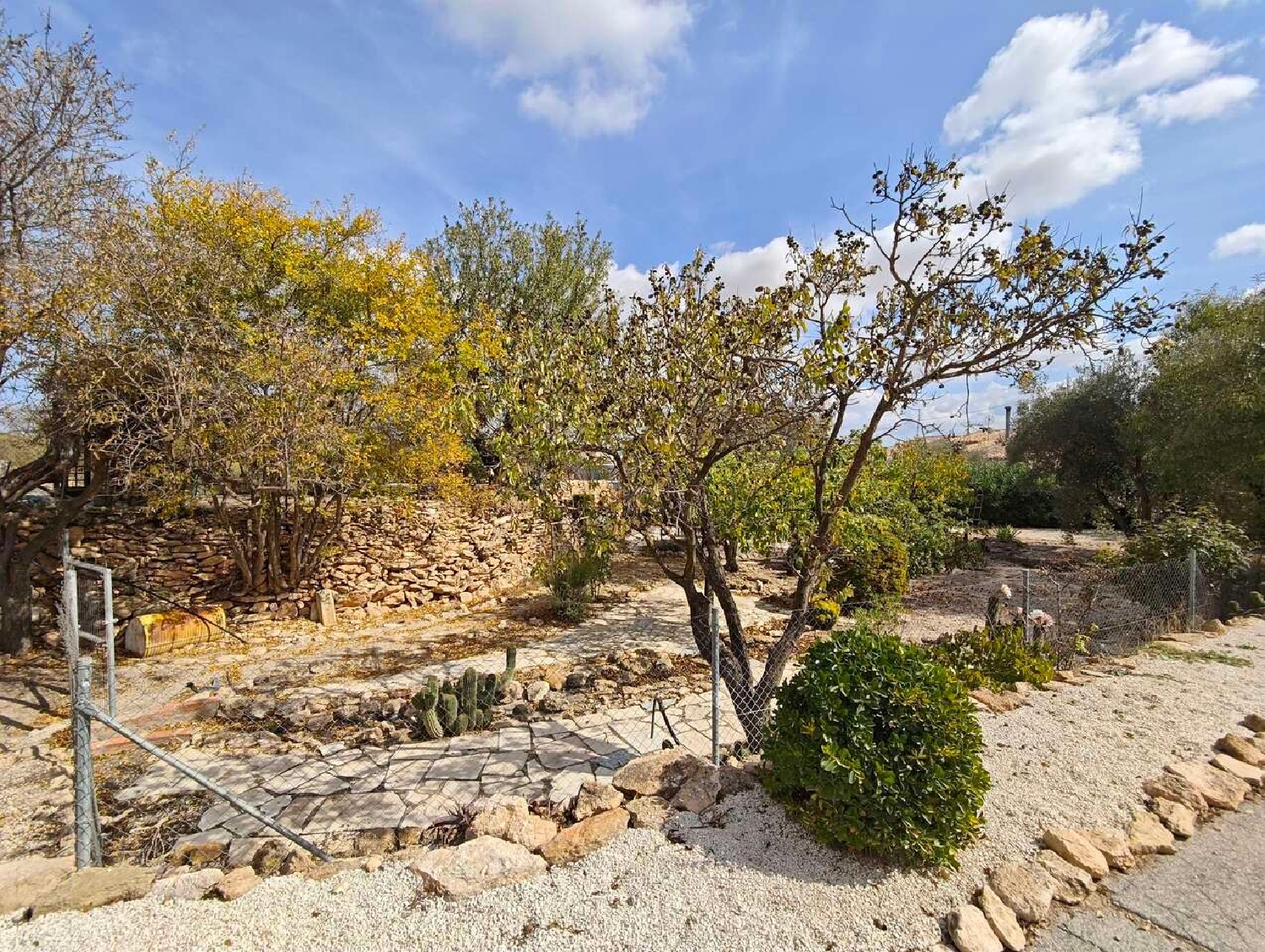  en venta finca rústica Raspay Altiplano 12