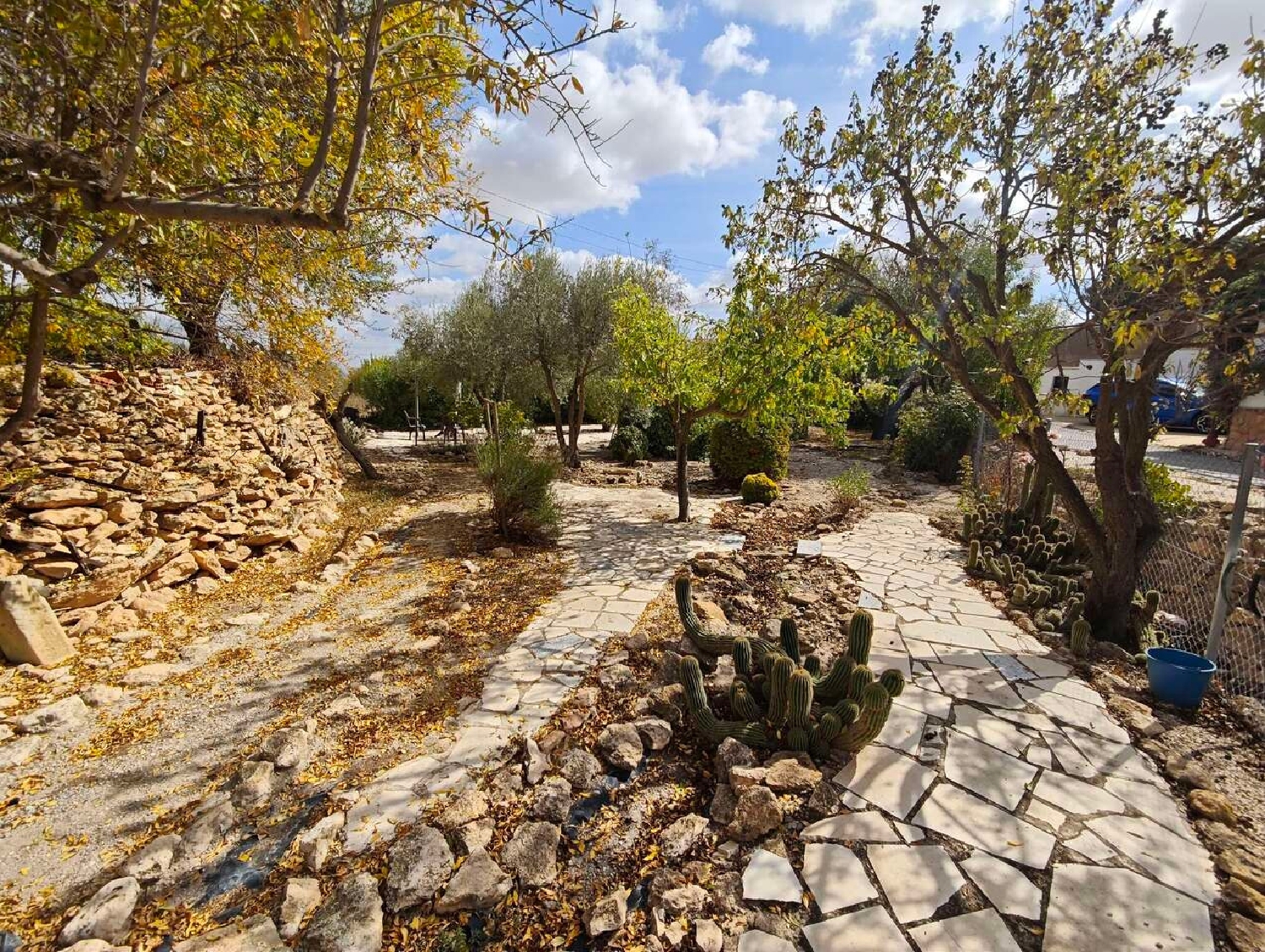  en venta finca rústica Raspay Altiplano 14