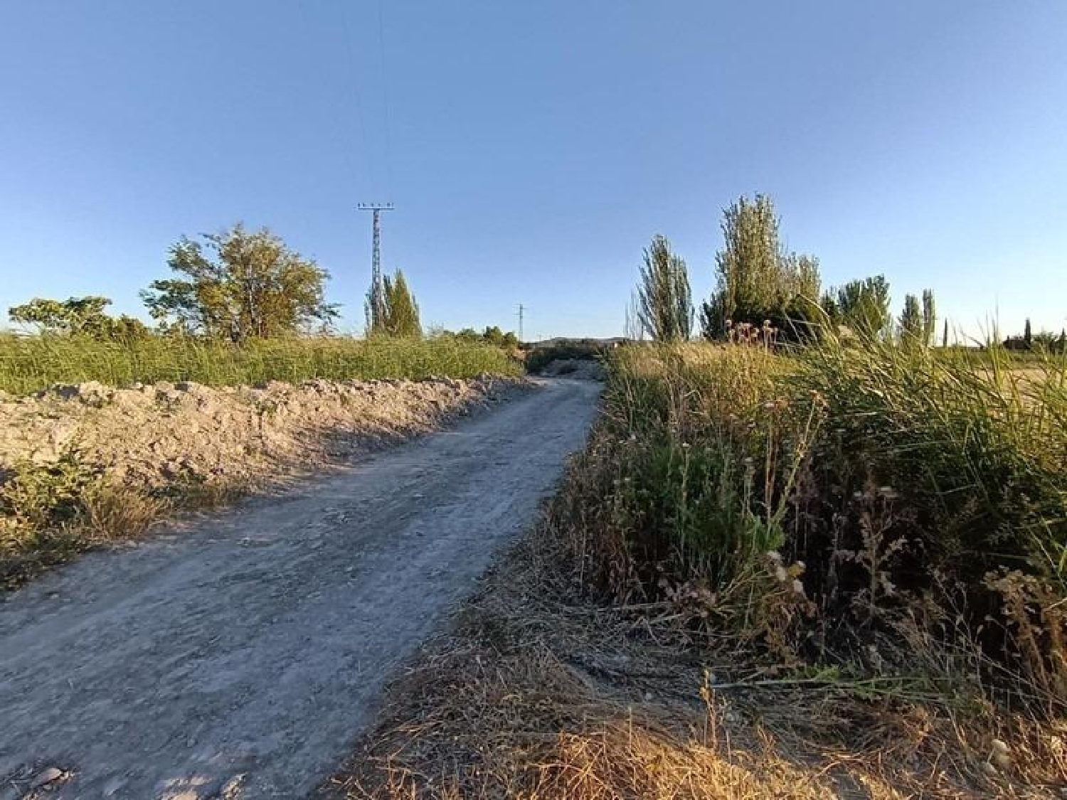 en venta finca rústica Santa Fe Vega De Granada 3