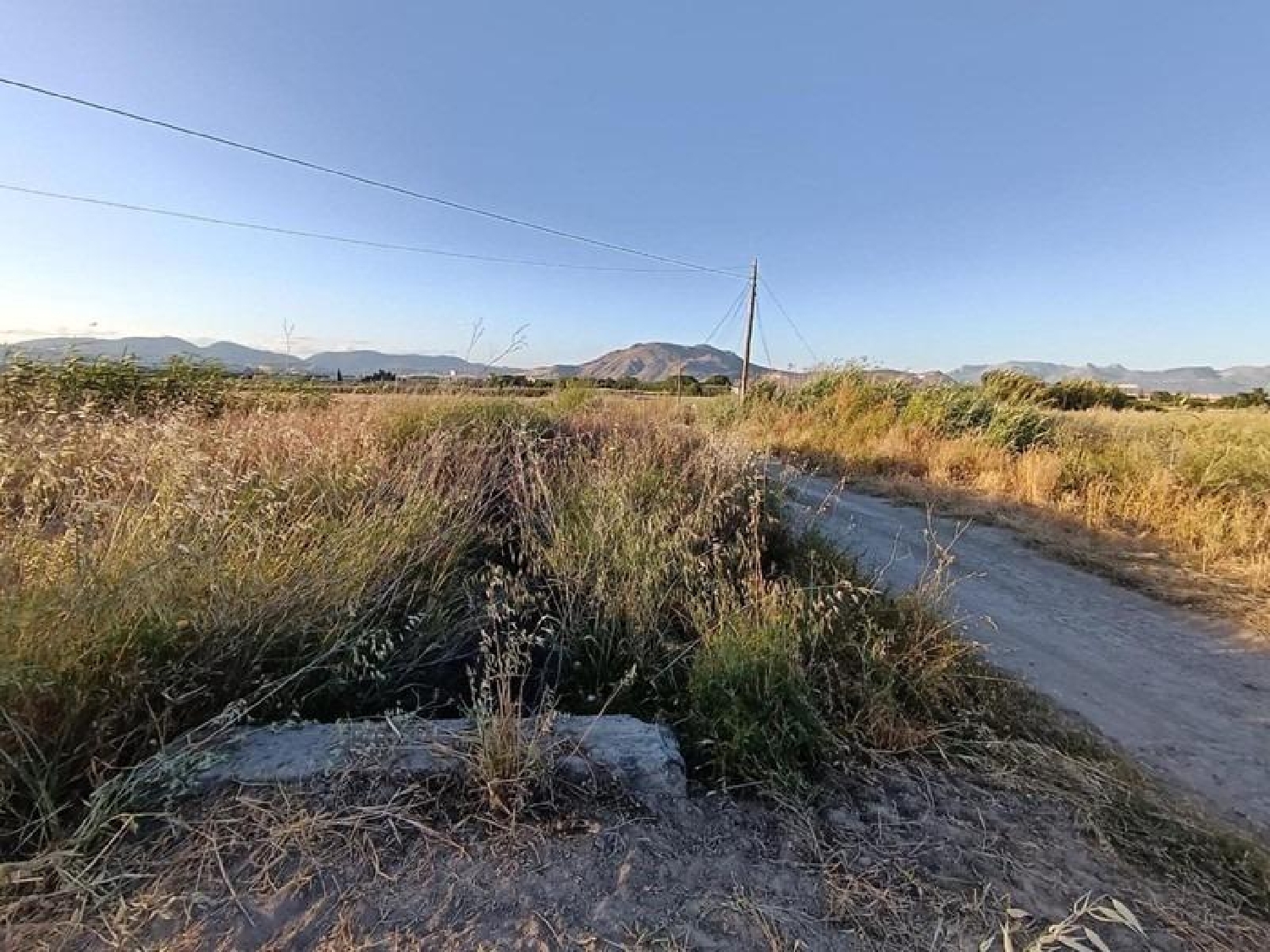 en venta finca rústica Santa Fe Vega De Granada 2