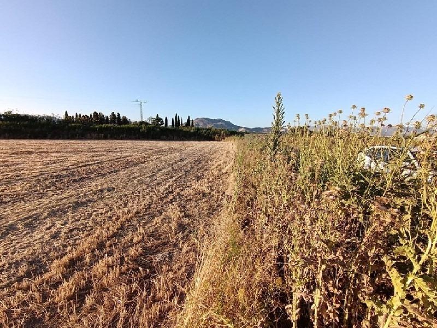  en venta finca rústica Santa Fe Vega De Granada 6