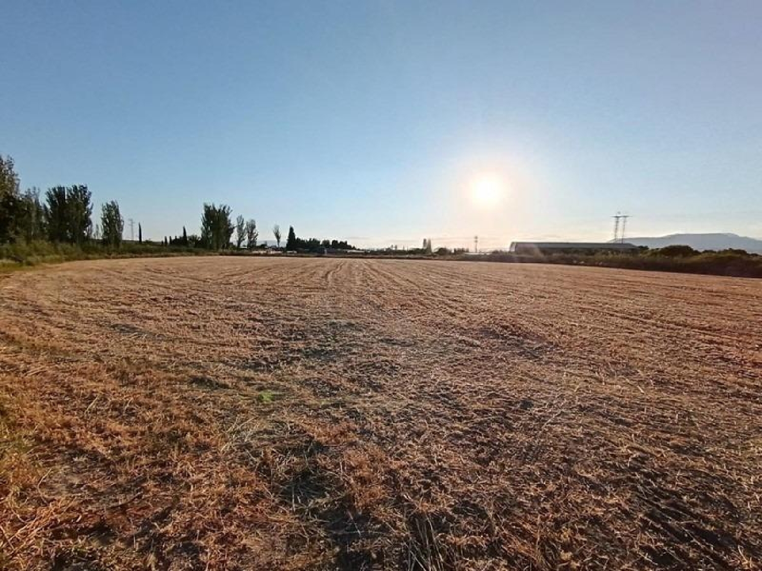  en venta finca rústica Santa Fe Vega De Granada 5