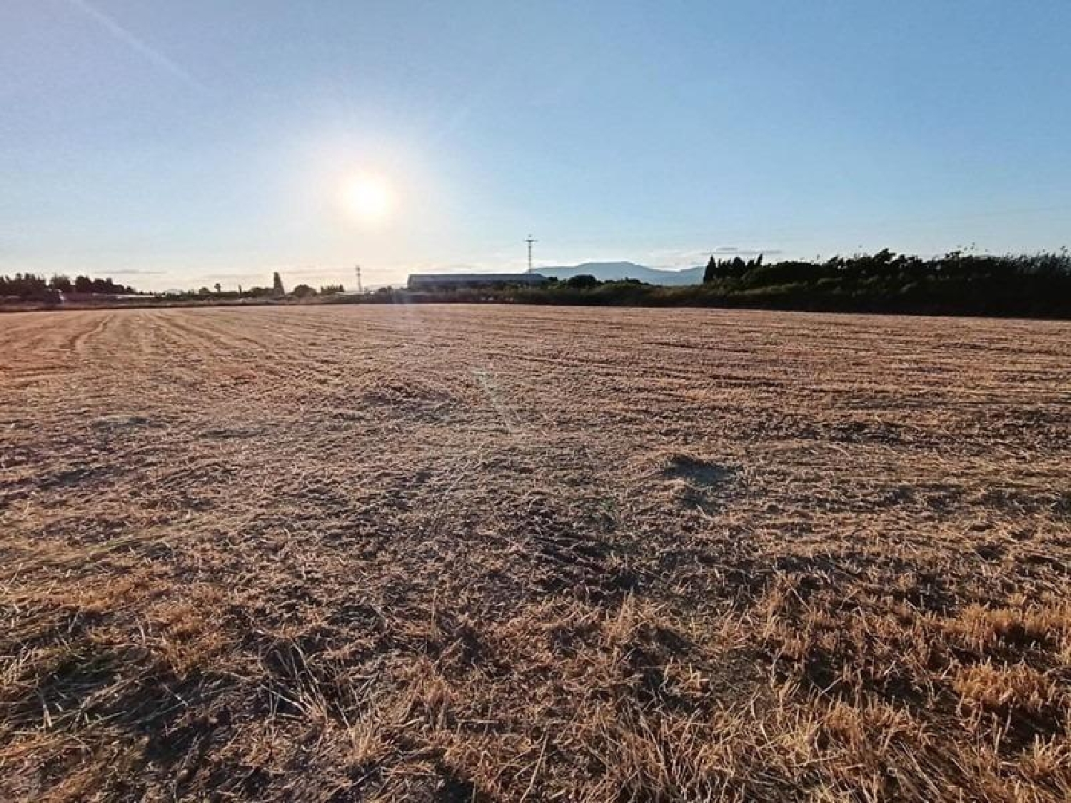  en venta finca rústica Santa Fe Vega De Granada 4
