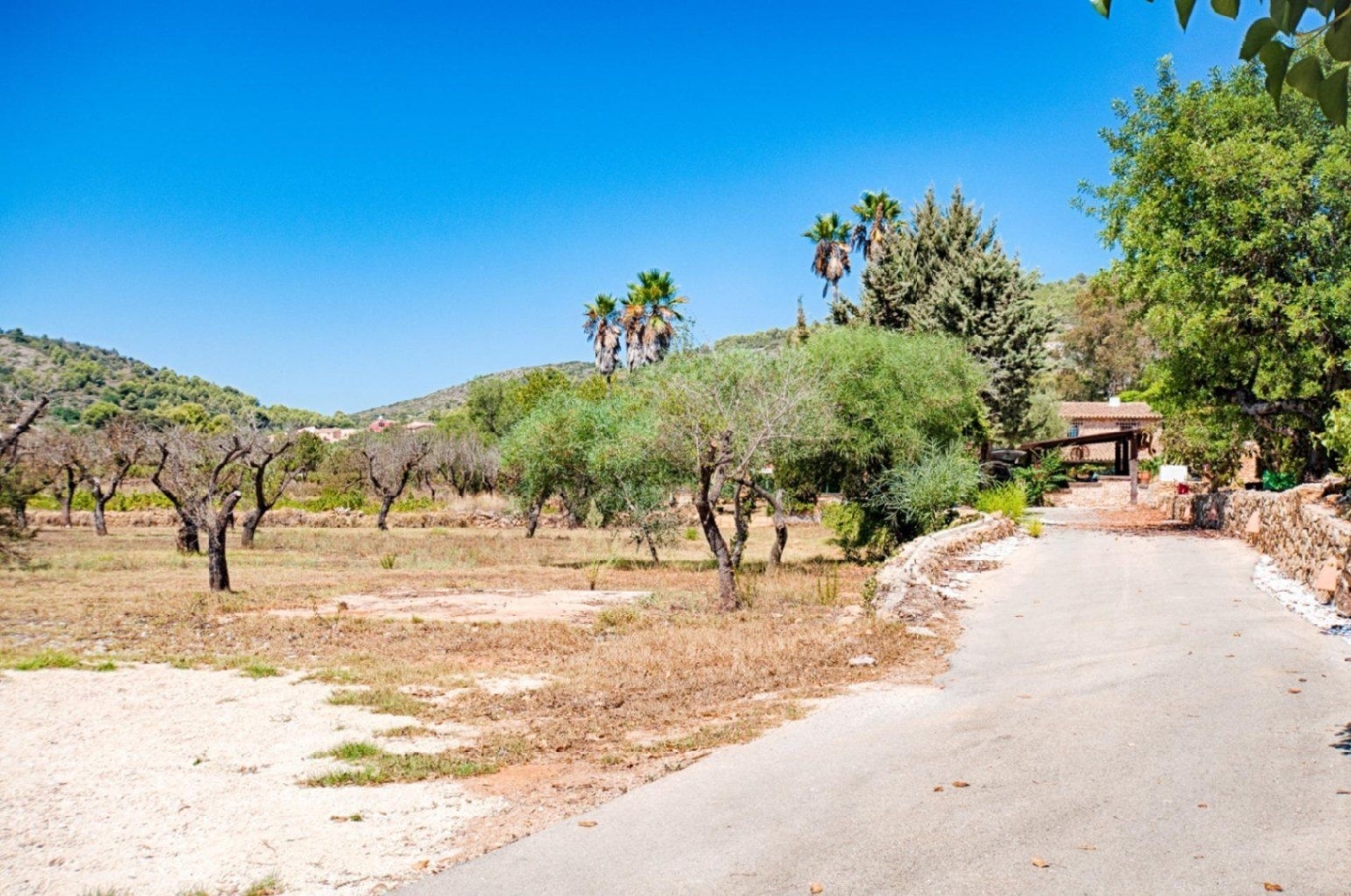 en venta finca rústica Senija Marina Alta 10