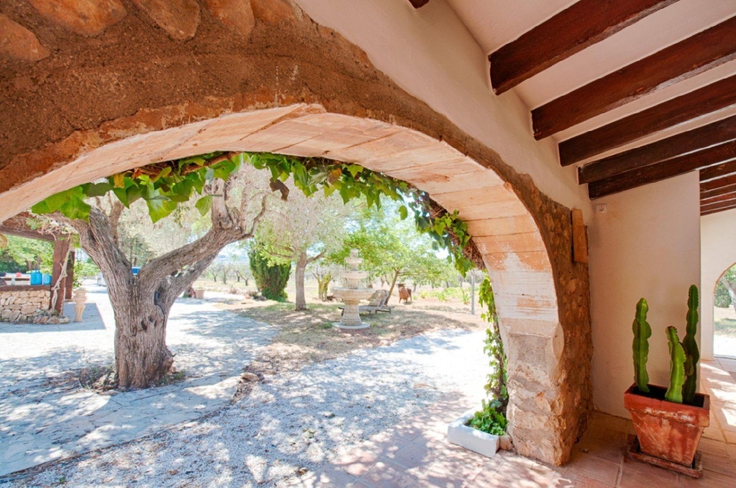 en venta finca rústica Senija Marina Alta 7