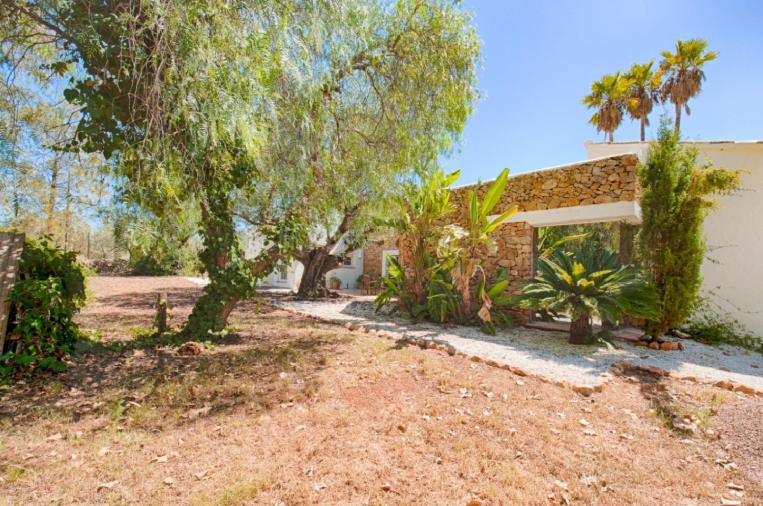 en venta finca rústica Senija Marina Alta 14