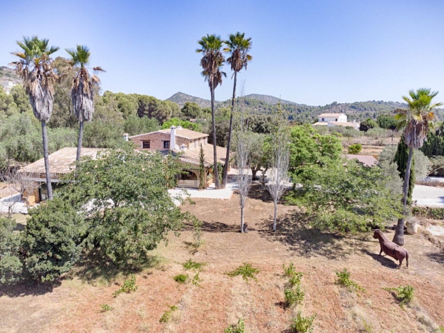 en venta finca rústica Senija Marina Alta 16