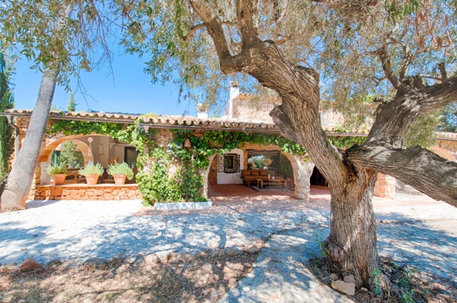 en venta finca rústica Senija Marina Alta 4