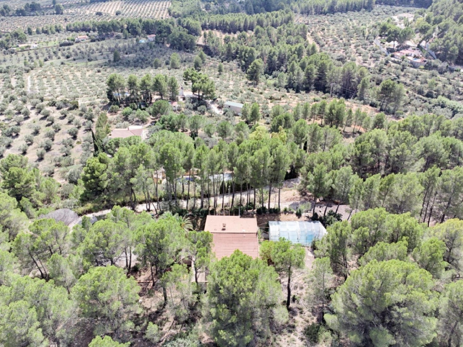  en venta finca rústica Senija Marina Alta 10