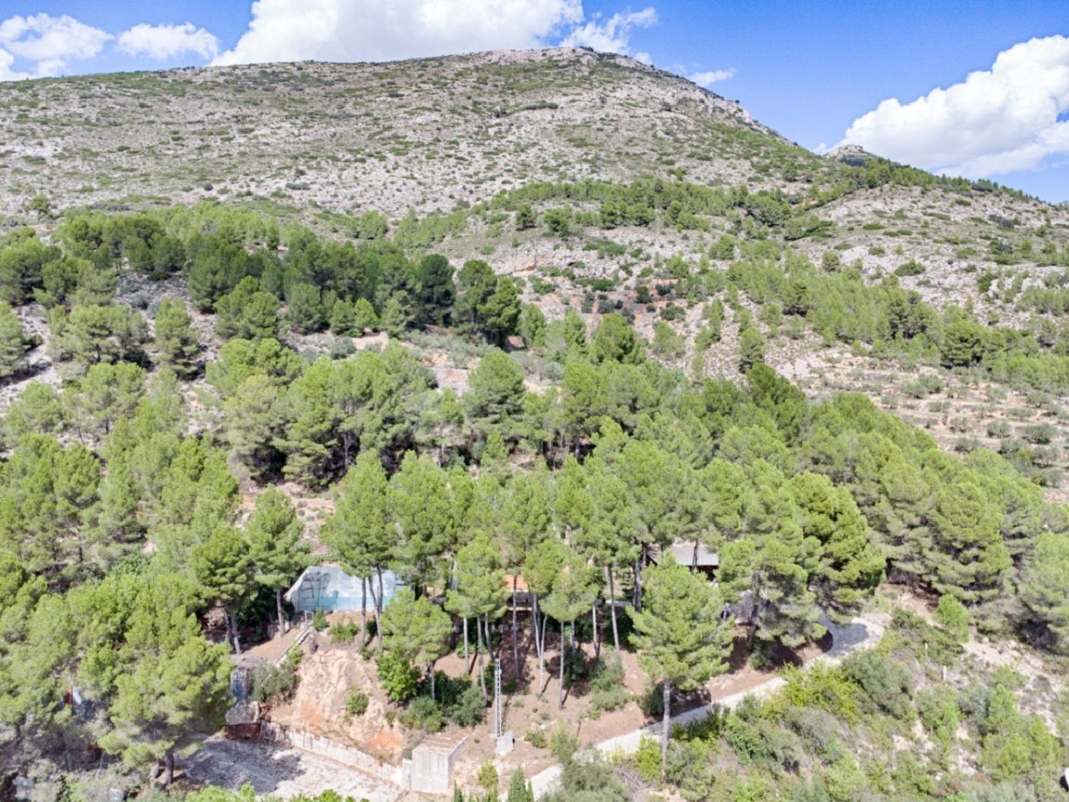  en venta finca rústica Senija Marina Alta 12