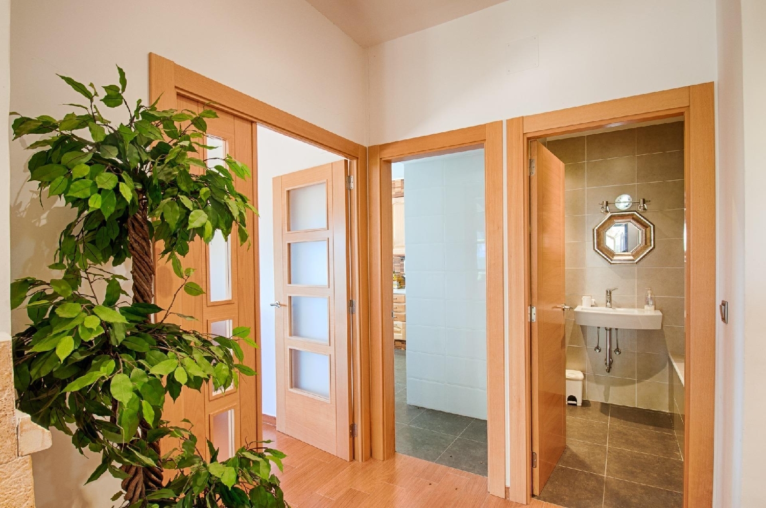  en venta finca rústica Senija Marina Alta 16