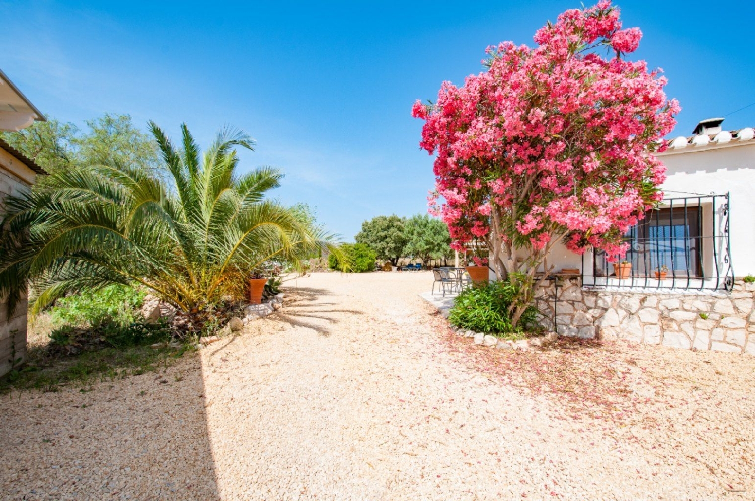  à vendre maison de campagne Teulada Marina Alta 21