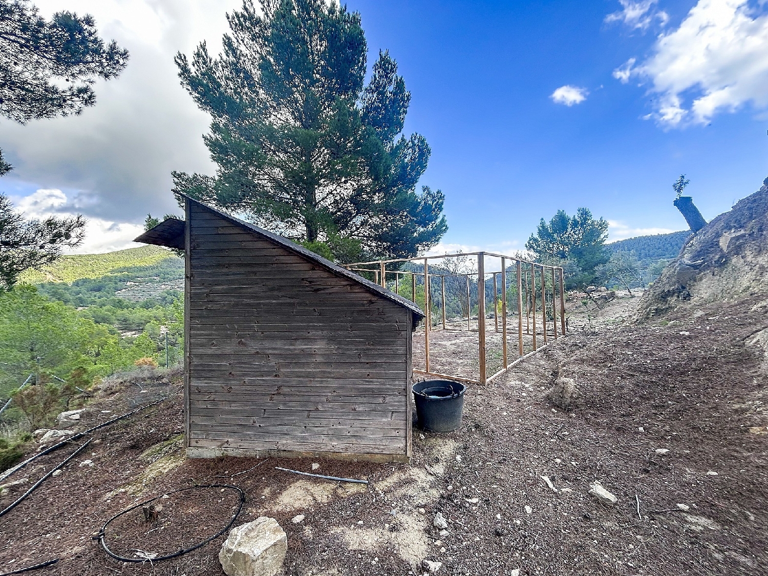  en venta finca rústica Torremanzanas Alacantí 36