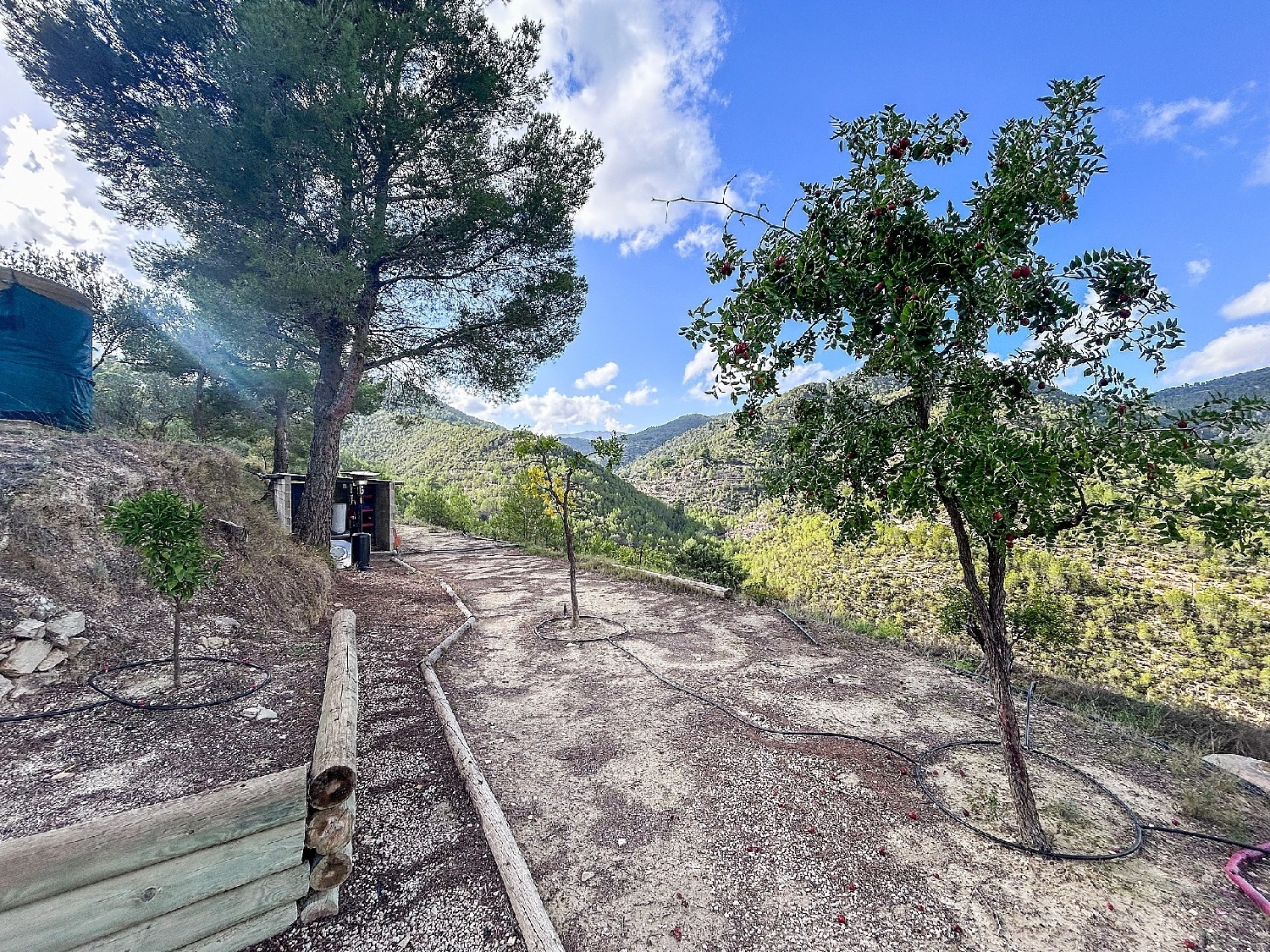  en venta finca rústica Torremanzanas Alacantí 7