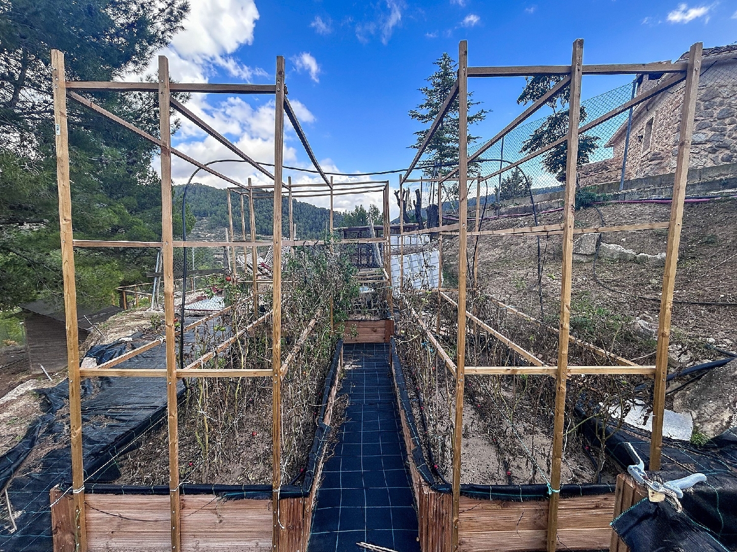  en venta finca rústica Torremanzanas Alacantí 39