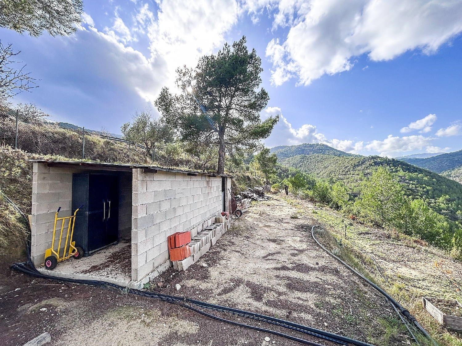  en venta finca rústica Torremanzanas Alacantí 6