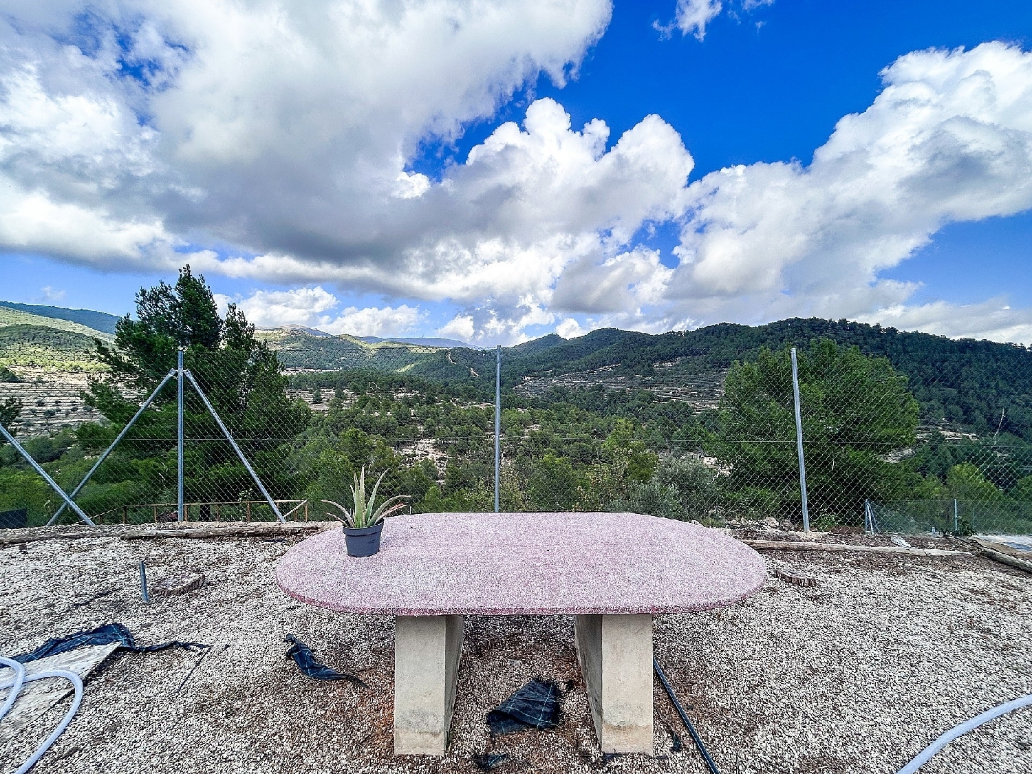  en venta finca rústica Torremanzanas Alacantí 4