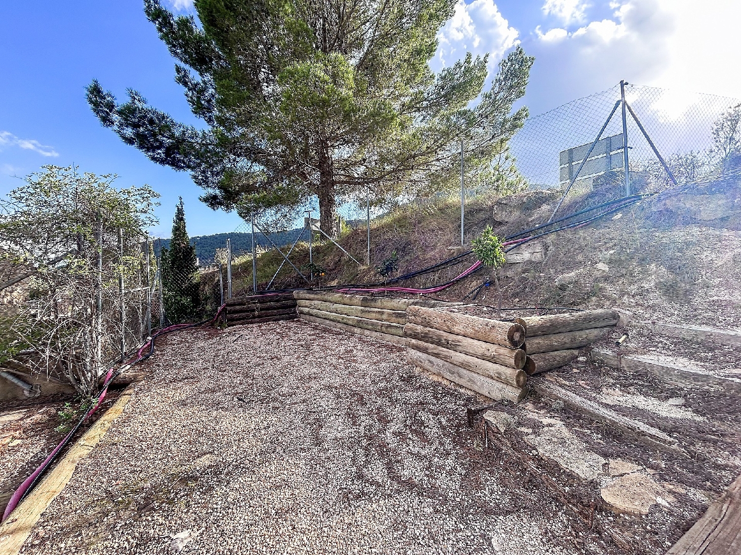  en venta finca rústica Torremanzanas Alacantí 9
